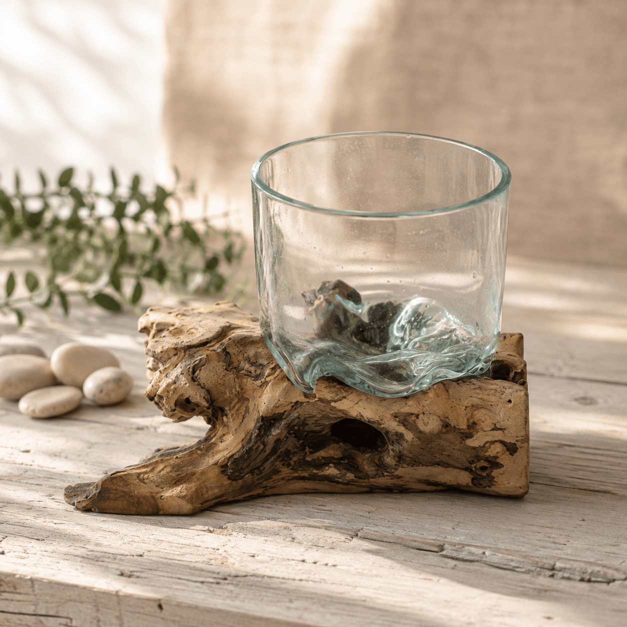 Hand-Blown Glass Terrarium on Driftwood - Sol & Stone