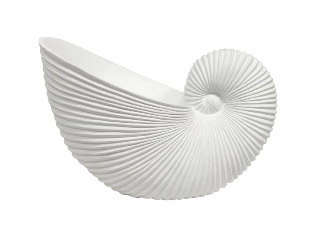 Large Beach Cone Shell Décor - Sol & Stone