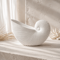 Large Beach Cone Shell Décor - Sol & Stone