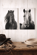 Wild Horse Canvas Wall Art (2 Piece Set) - Sol & Stone