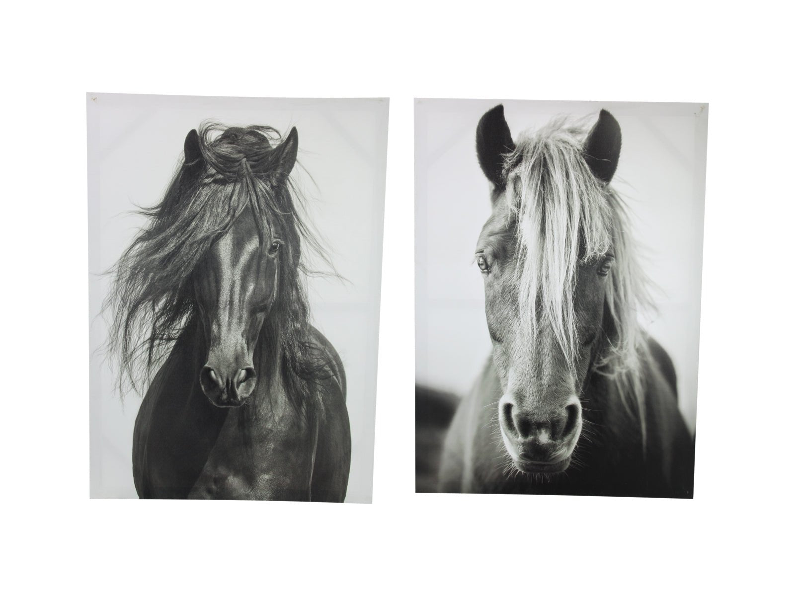 Wild Horse Canvas Wall Art (2 Piece Set) - Sol & Stone